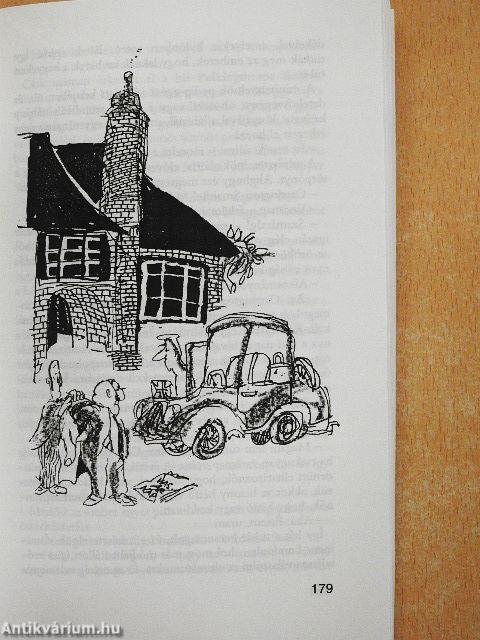 Sam Small csodálatos élete