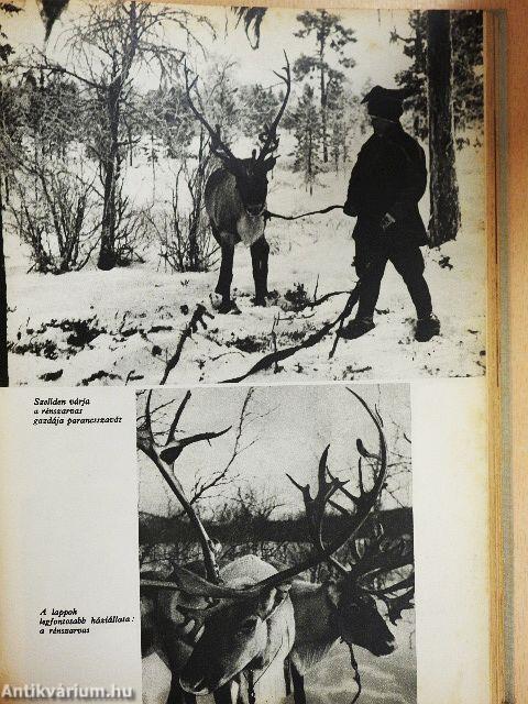 Lányok Évkönyve 1962