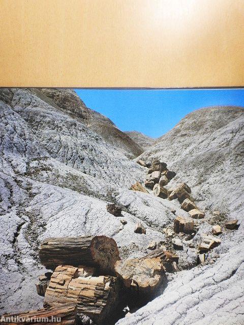 Naturwunder Amerikas - USA