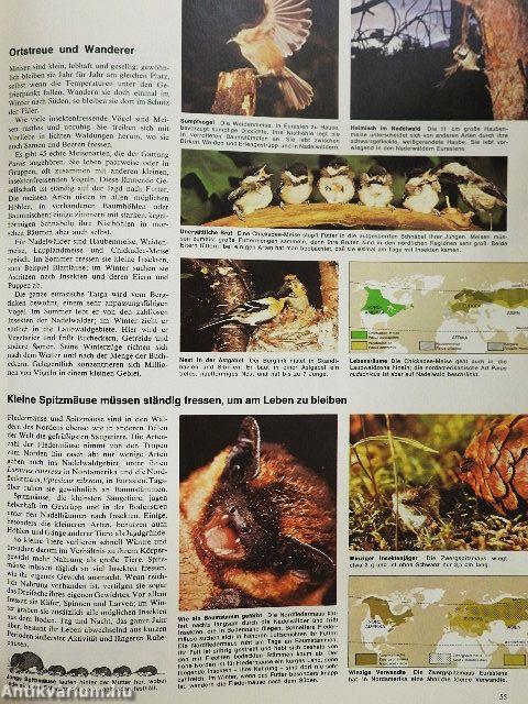 Bildatlas der Tierwelt