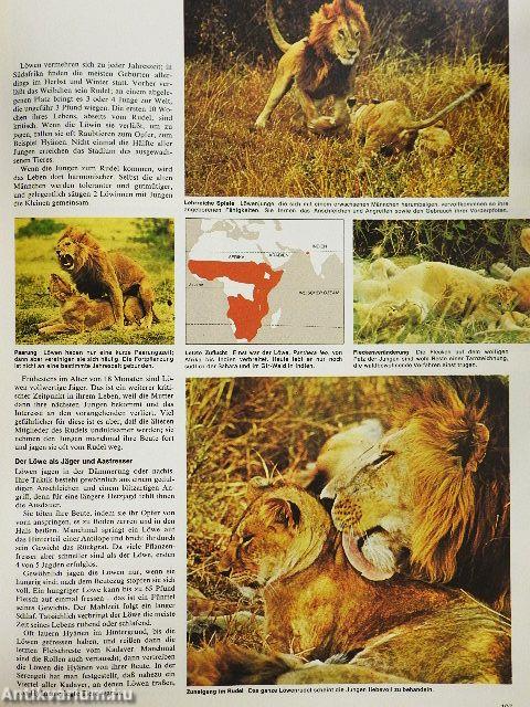 Bildatlas der Tierwelt