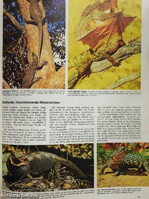 Bildatlas der Tierwelt