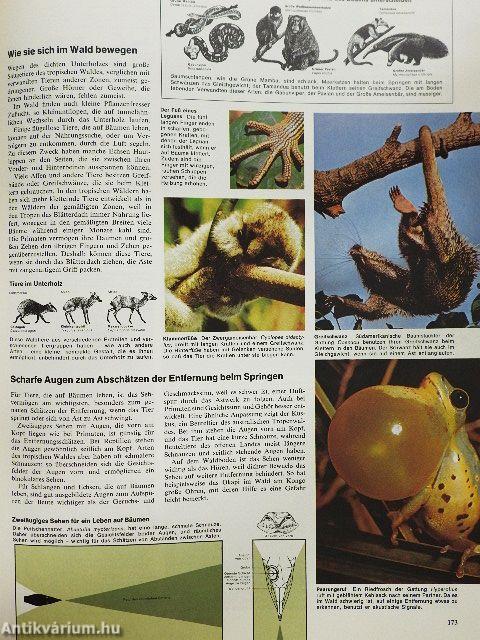 Bildatlas der Tierwelt