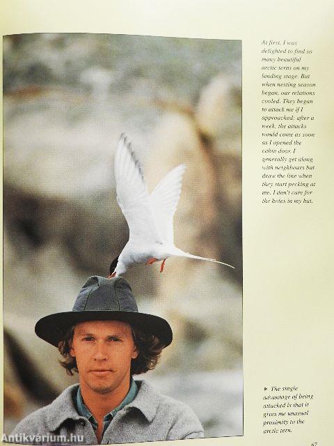 Harmony of the Stockholm Skerries