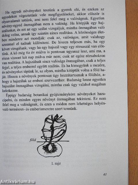 Nevelésművészet az ember lényének megismeréséből