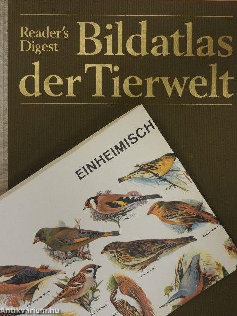 Bildatlas der Tierwelt