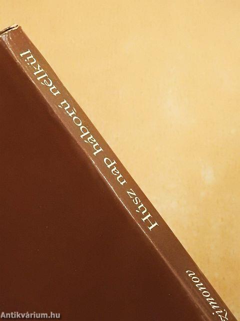 Húsz nap háború nélkül