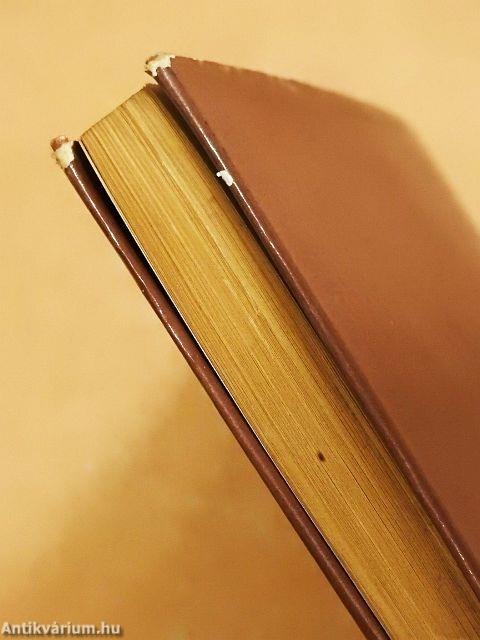 Húsz nap háború nélkül