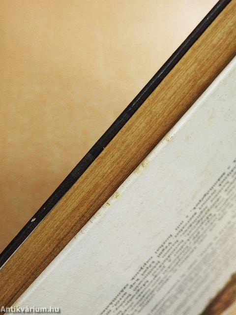 Műsoron a számítógép