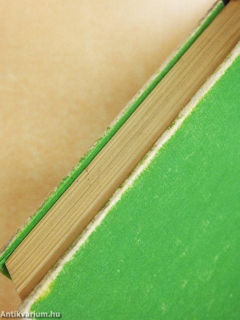 Az ördög kastélya