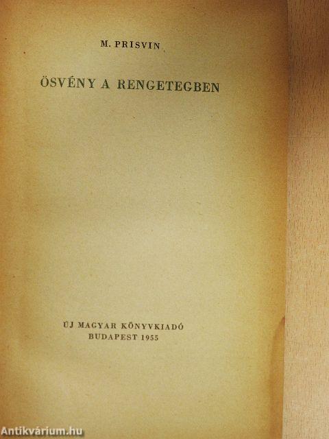 Ösvény a rengetegben