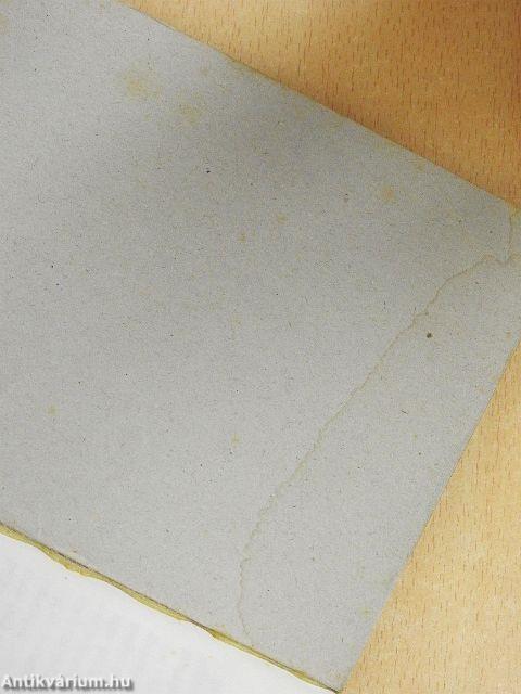 Elvis az élet után