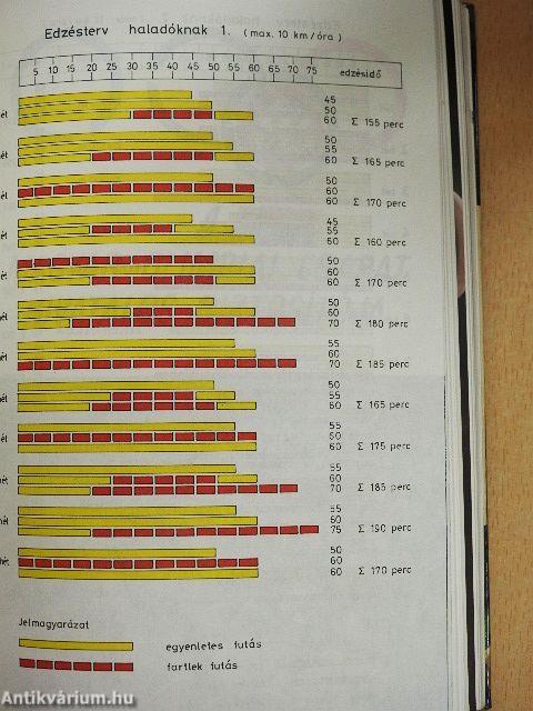 A futás csodálatos világa