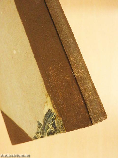 A Fővárosi Lapok Farsangi Emléke 1896