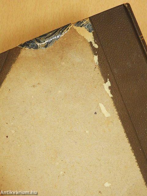 A Fővárosi Lapok Farsangi Emléke 1896