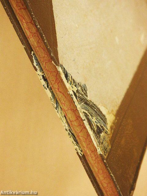 A Fővárosi Lapok Farsangi Emléke 1896