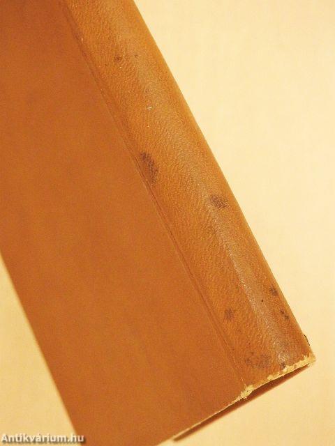 Századunk névváltoztatásai