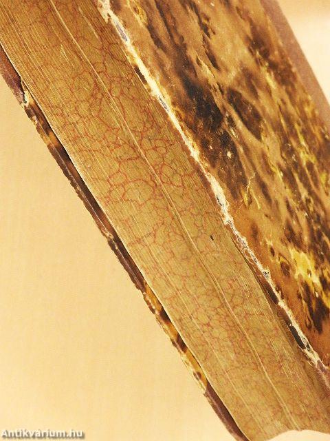 Emlékkönyv Beöthy Zsolt születésének hatvanadik fordulójára