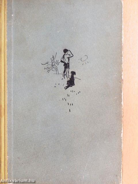 Zsóka meg a rossz fiú