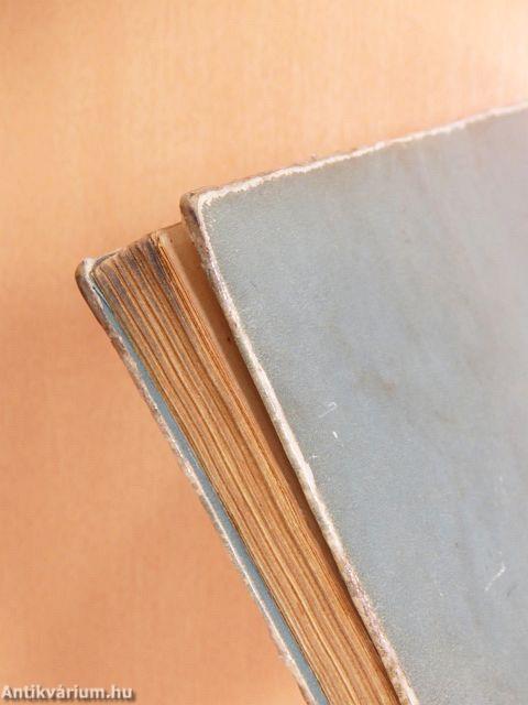 Zsóka meg a rossz fiú