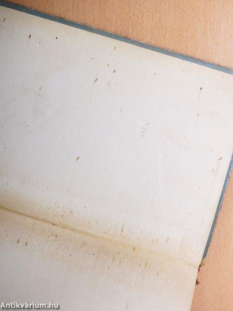 Zsóka meg a rossz fiú