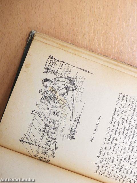 Zsóka meg a rossz fiú