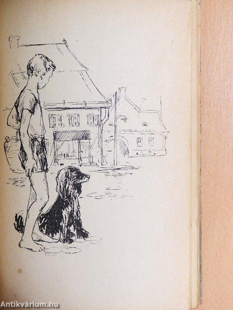 Zsóka meg a rossz fiú