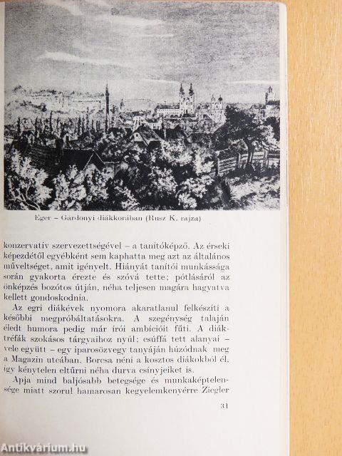 Gárdonyi Géza alkotásai és vallomásai tükrében