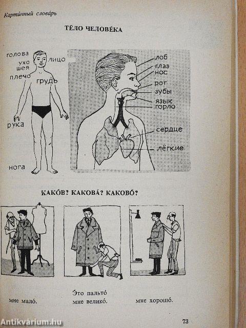 Orosz nyelvkönyv II.