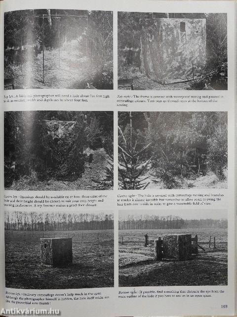 Four Seasons of Nature Photography