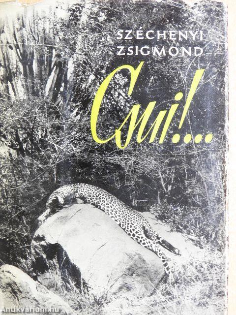 Csui!...