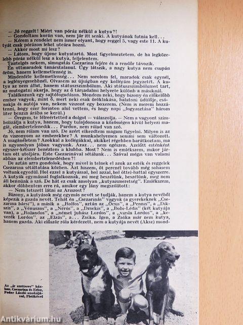 A kutya évkönyve 1974