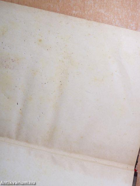 A tükrösszívű huszár