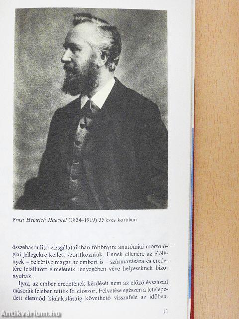 Emberősök, ősemberek