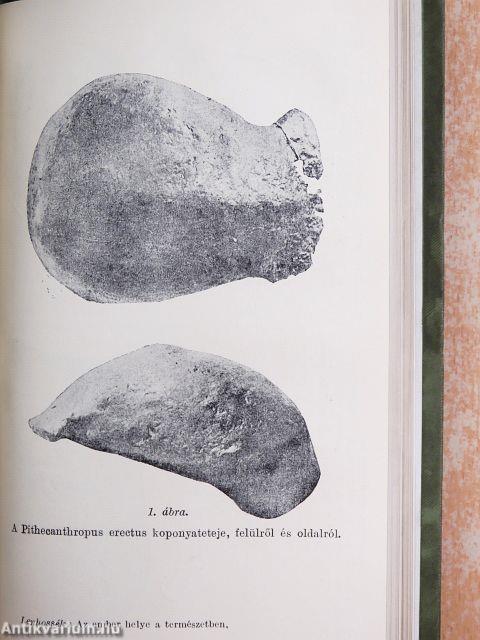 Az ember helye a természetben