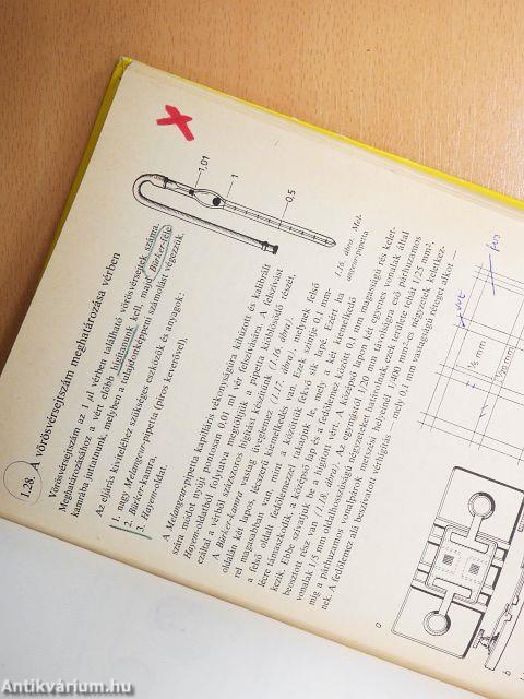 Összehasonlító élettani gyakorlatok és bemutatások