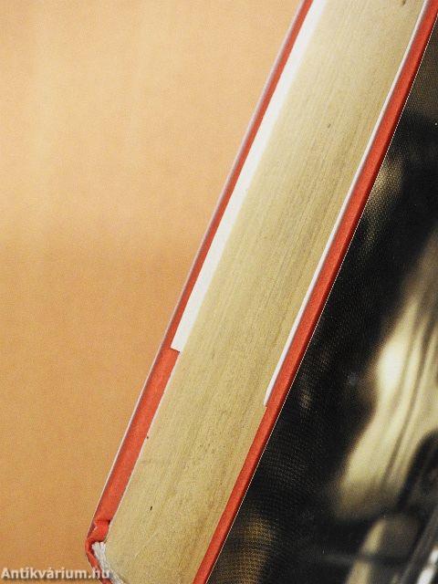 Alexandriai négyes II.