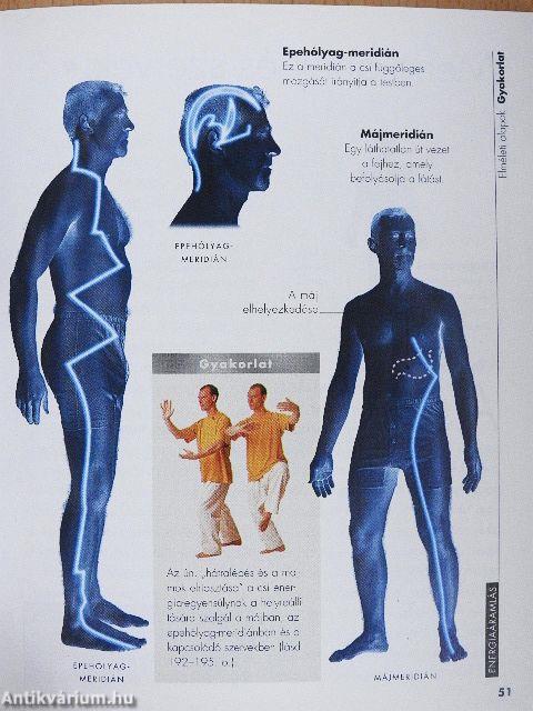 Energiaáramlás