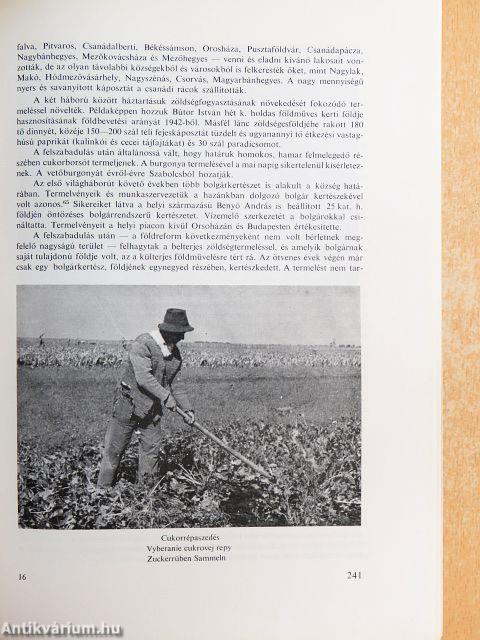 A Békés megyei Múzeumok Közleményei 1974/3.