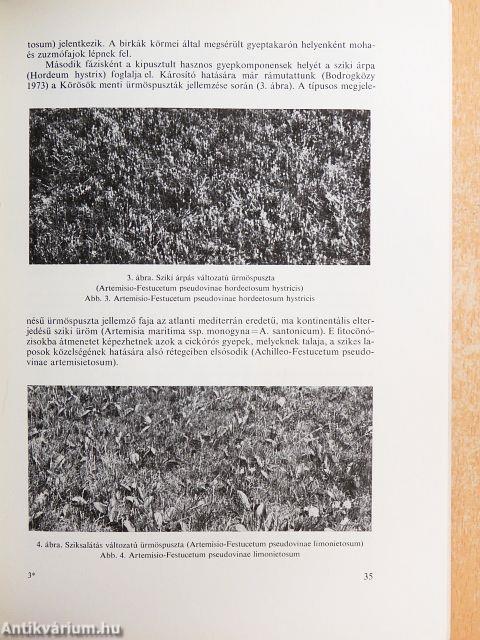 A Békés megyei múzeumok közleményei 1980/6.