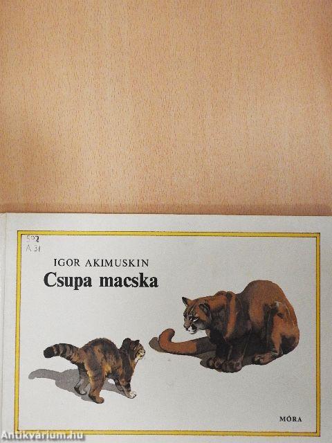 Csupa macska