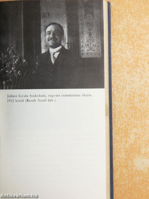 Juhász Gyula