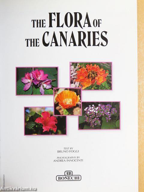 The Flora of the Canaries