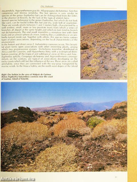 The Flora of the Canaries