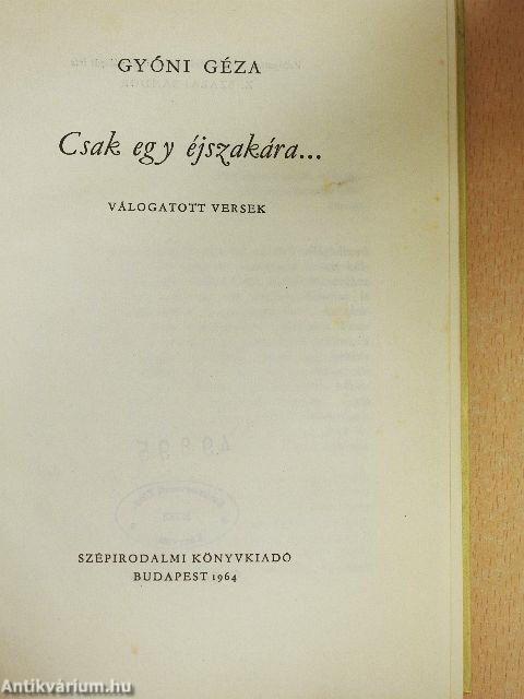 Csak egy éjszakára...