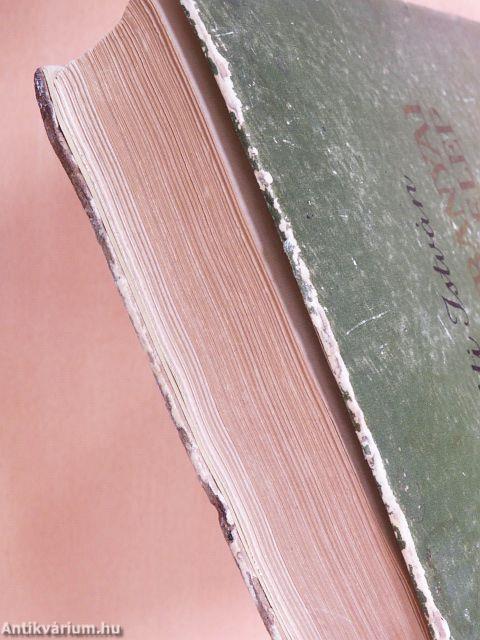 A nagybányai művésztelep