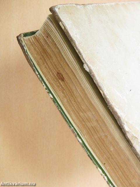 A nagybányai művésztelep