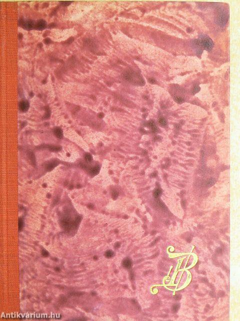 Egy lélek visszatér...