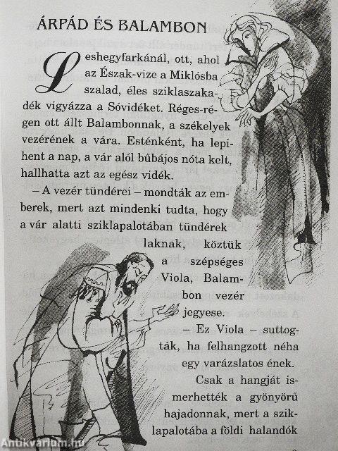 Ezer telik, ezer nem