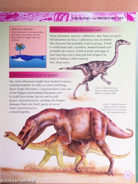 Children's Knowledge Encyclopedia